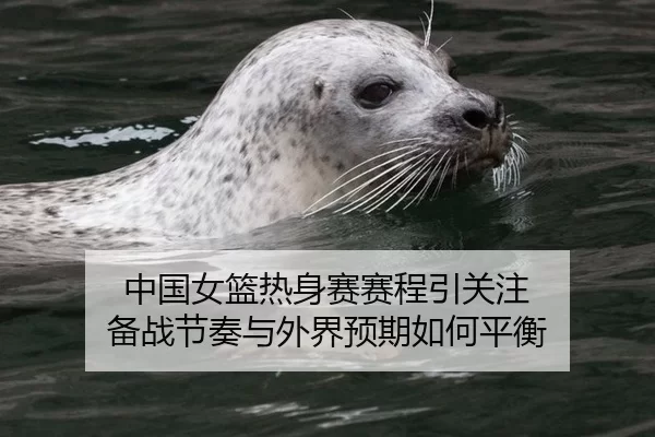 中国女篮热身赛赛程引关注 备战节奏与外界预期如何平衡